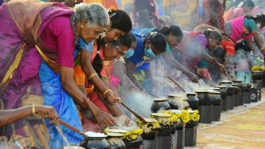 Pongal Delights