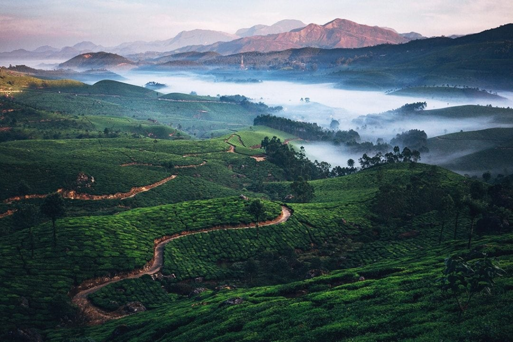 Munnar - Romantic Getaway in India