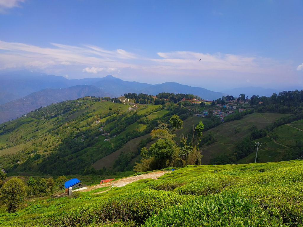 Darjeeling